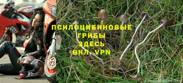 тгк Абинск