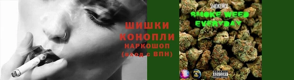 тгк Абинск