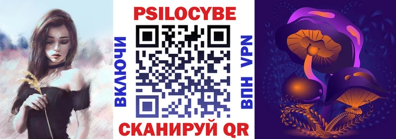 Псилоцибиновые грибы Cubensis  что такое   Фрязино 