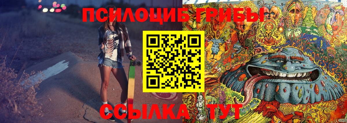 закладки  Вход с VPN  Фрязино  Галлюциногенные грибы MAGIC MUSHROOMS 
