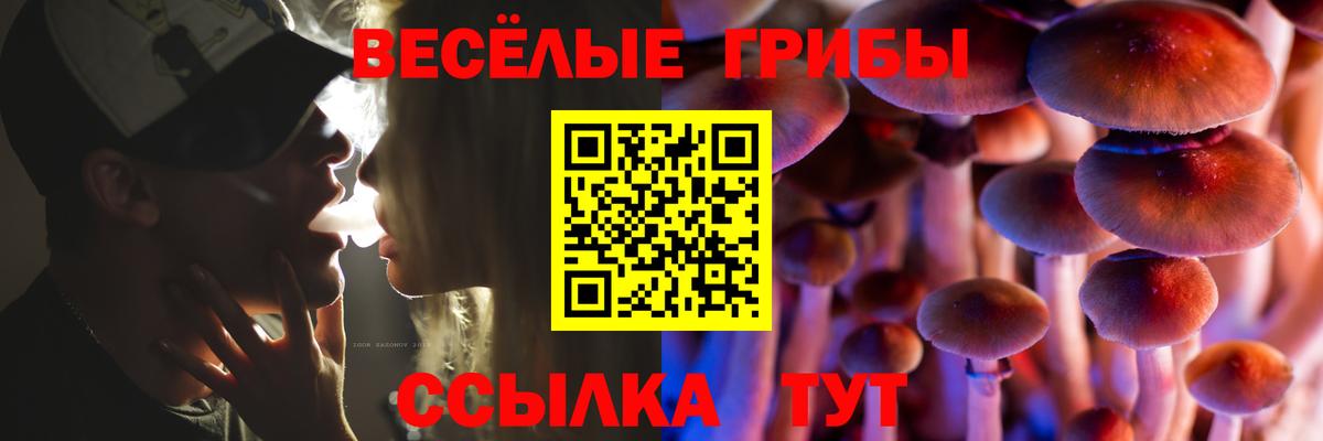 Псилоцибиновые грибы прущие грибы Фрязино